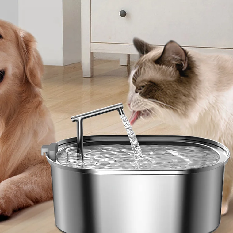 Smart Water Fountain